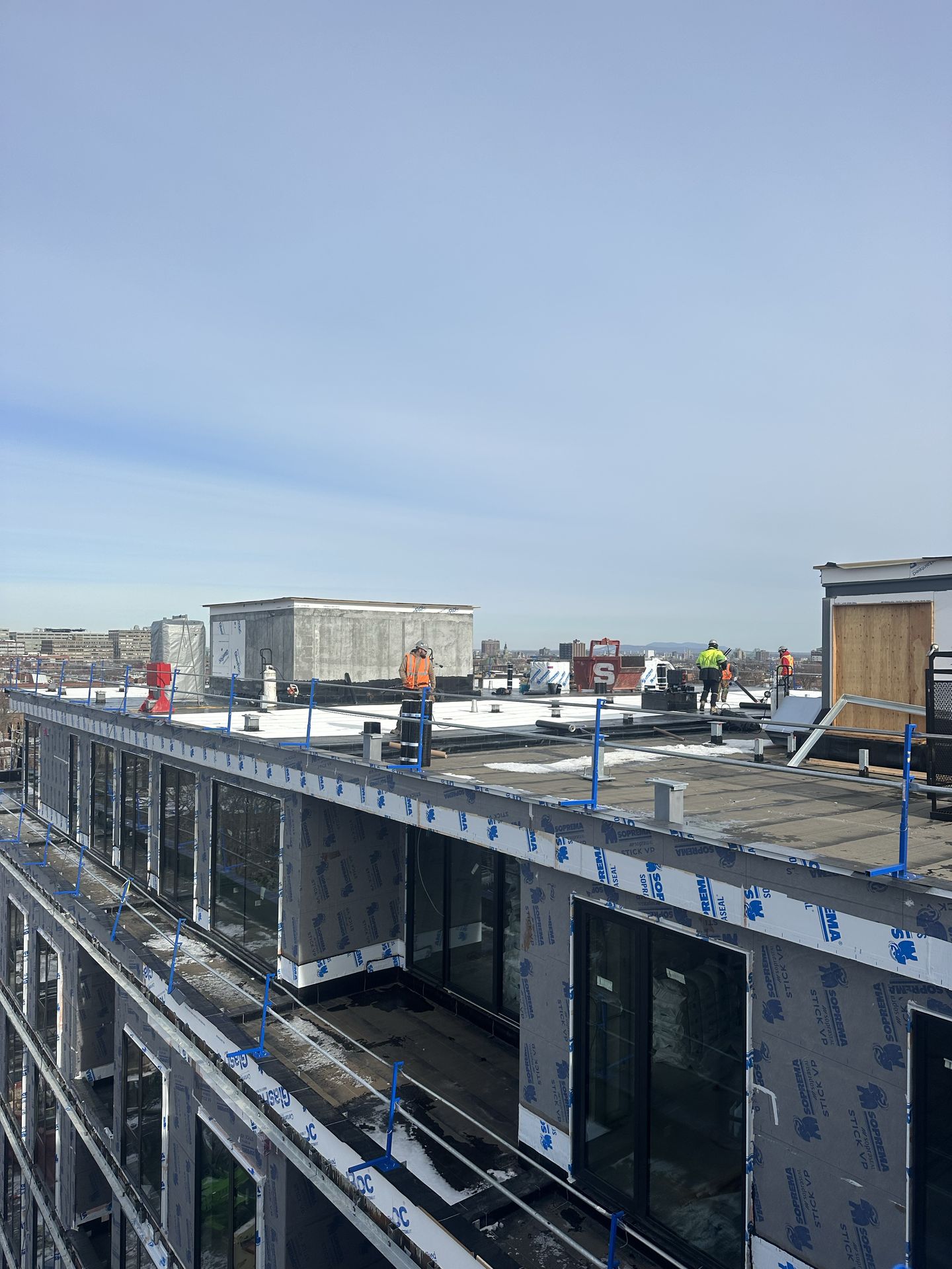 cropped_commercial bate (1)