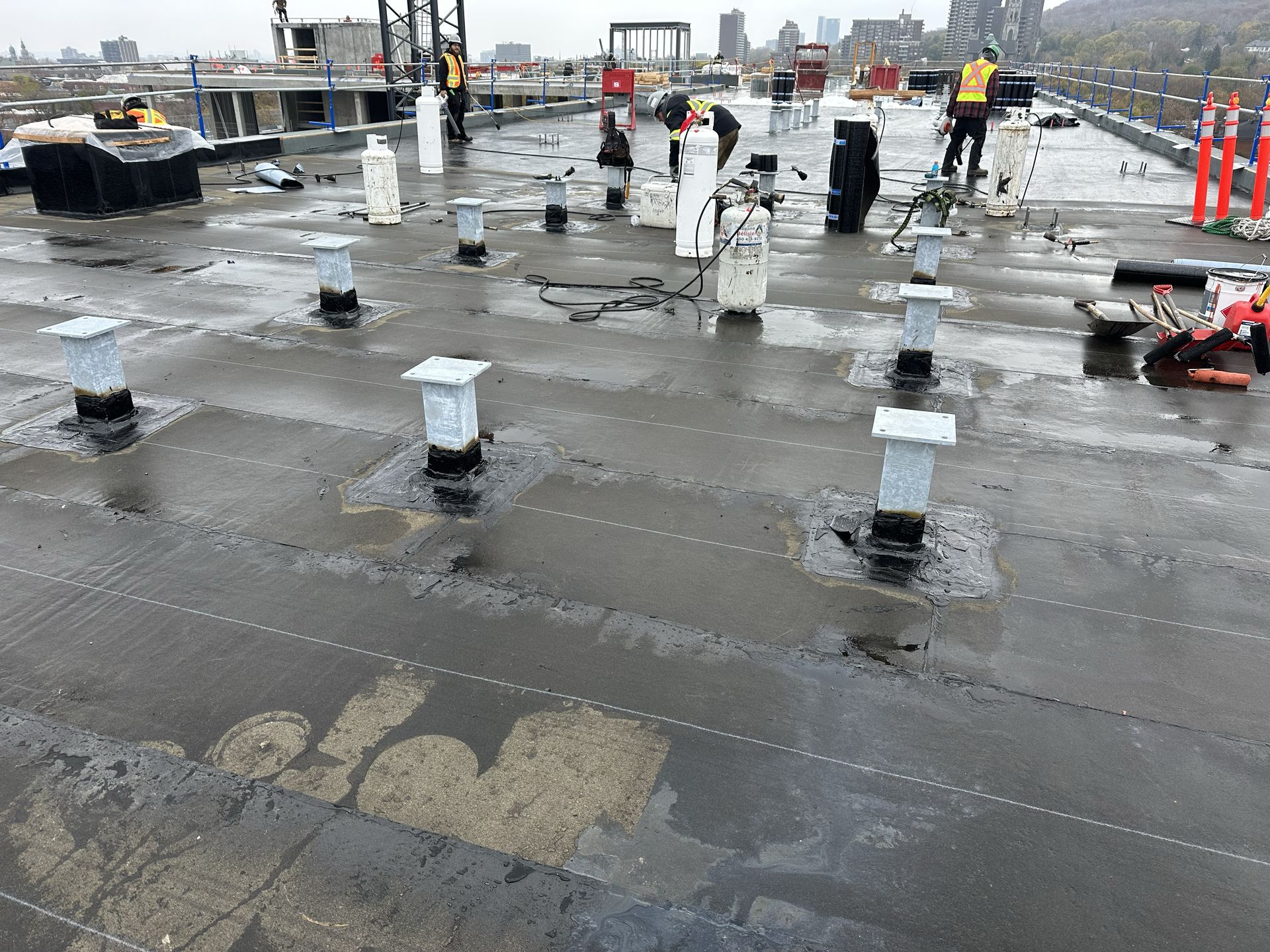 cropped_commercial bate (2)