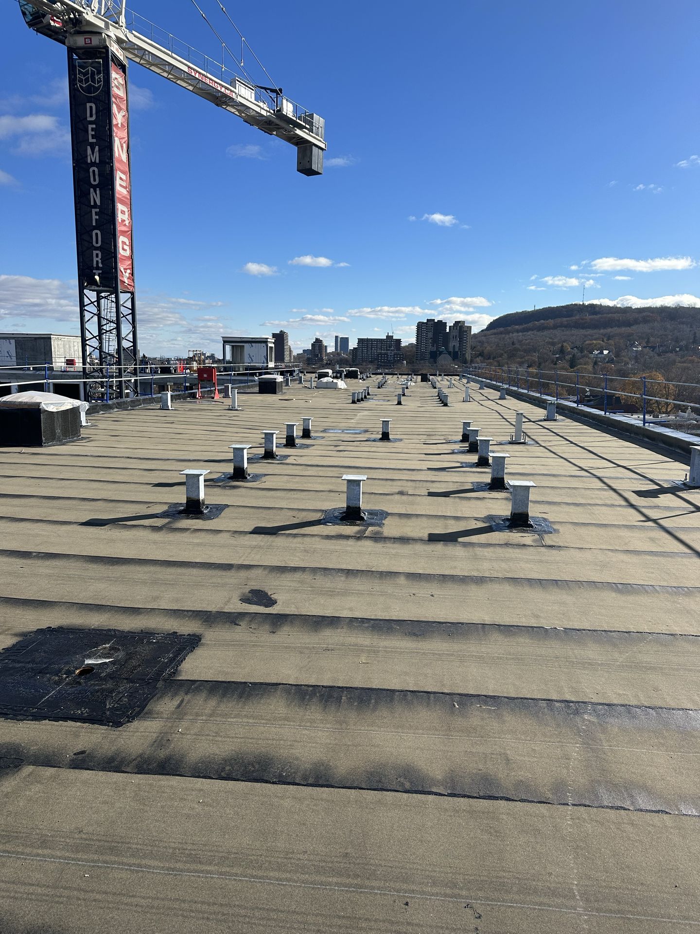 cropped_commercial bate (8)