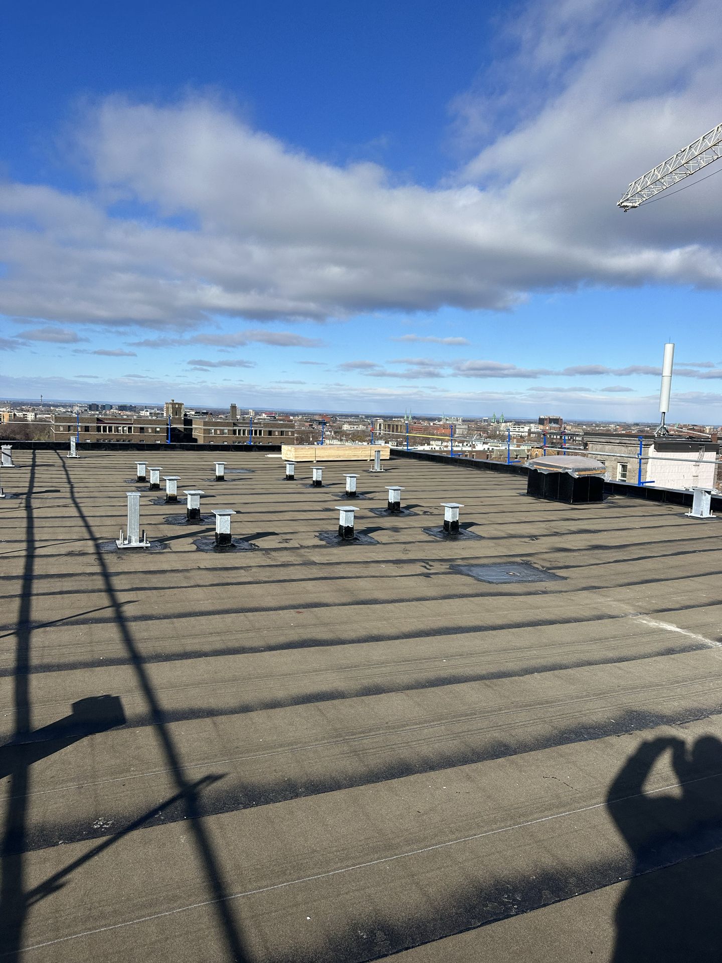 cropped_commercial bates (11)