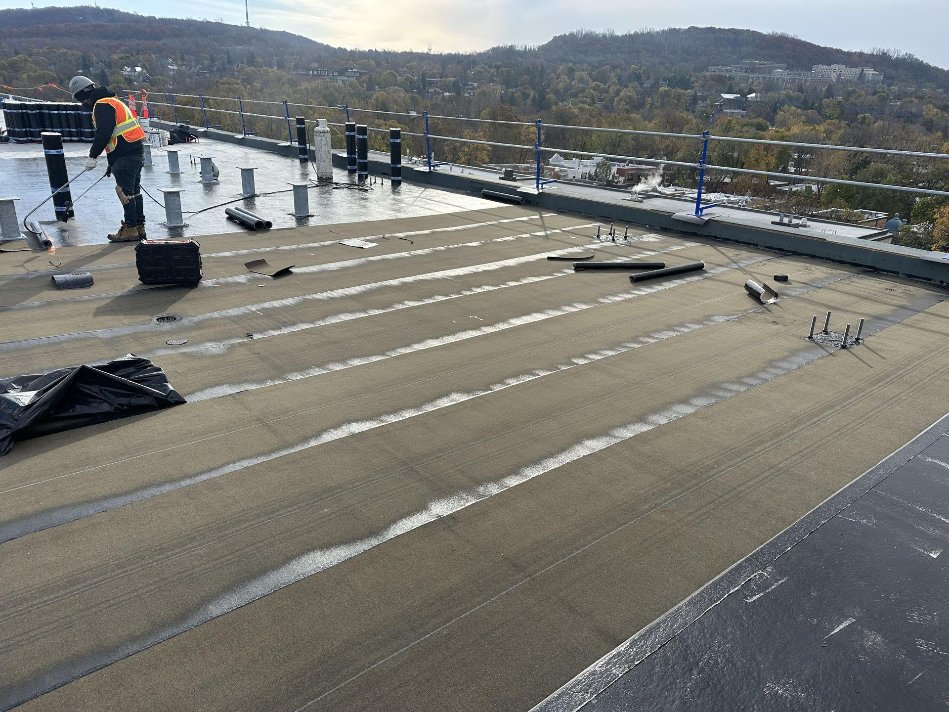 cropped_commercial bates