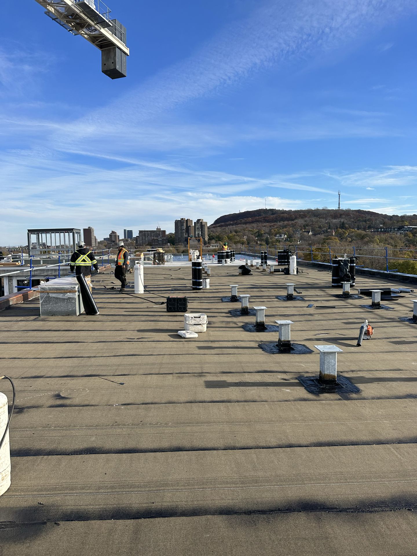 cropped_commercial bates (4)