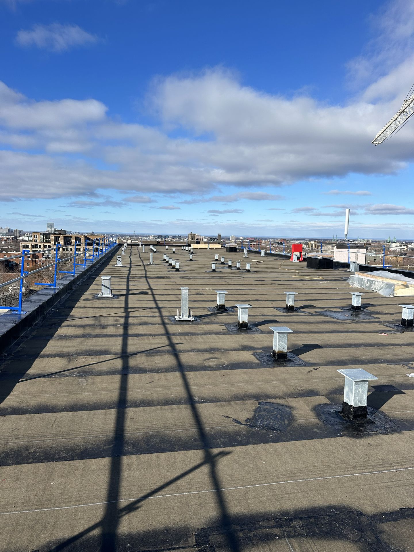 cropped_commercial bates (7)