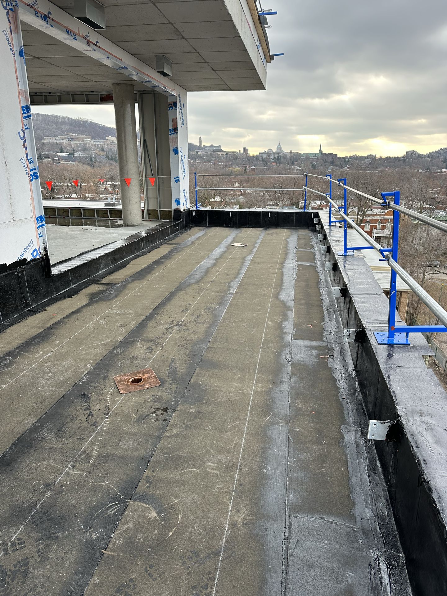 cropped_commercial bates (8)