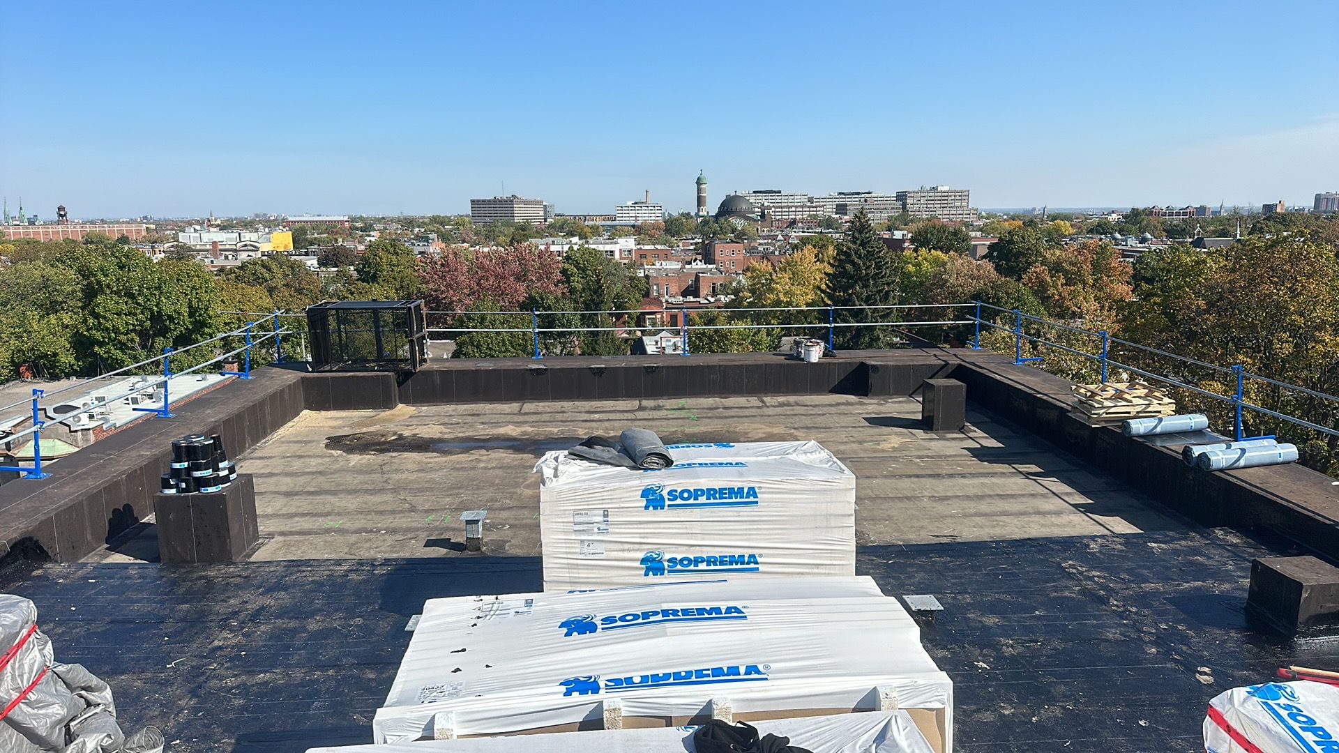 cropped_commercial f (2)