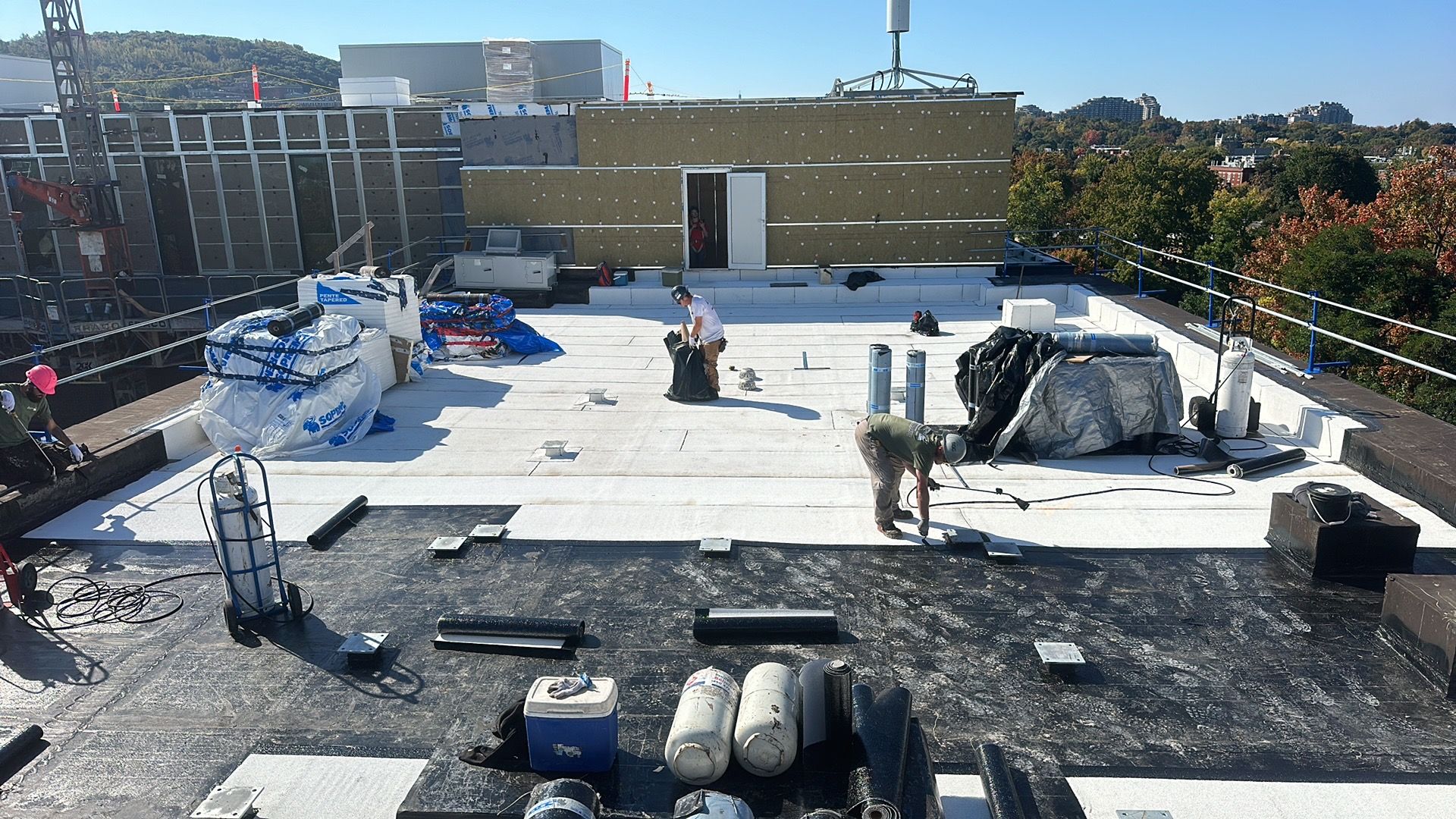 cropped_commercial f (3)