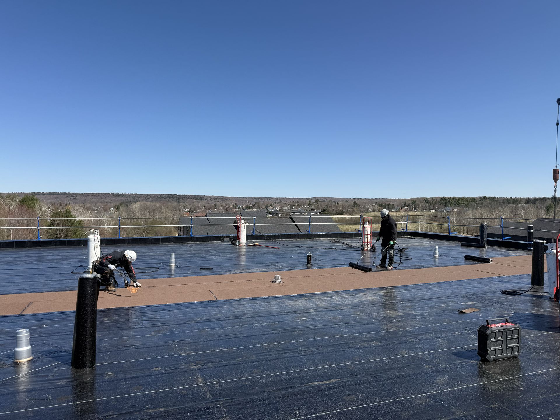 cropped_commercial fleu (1)