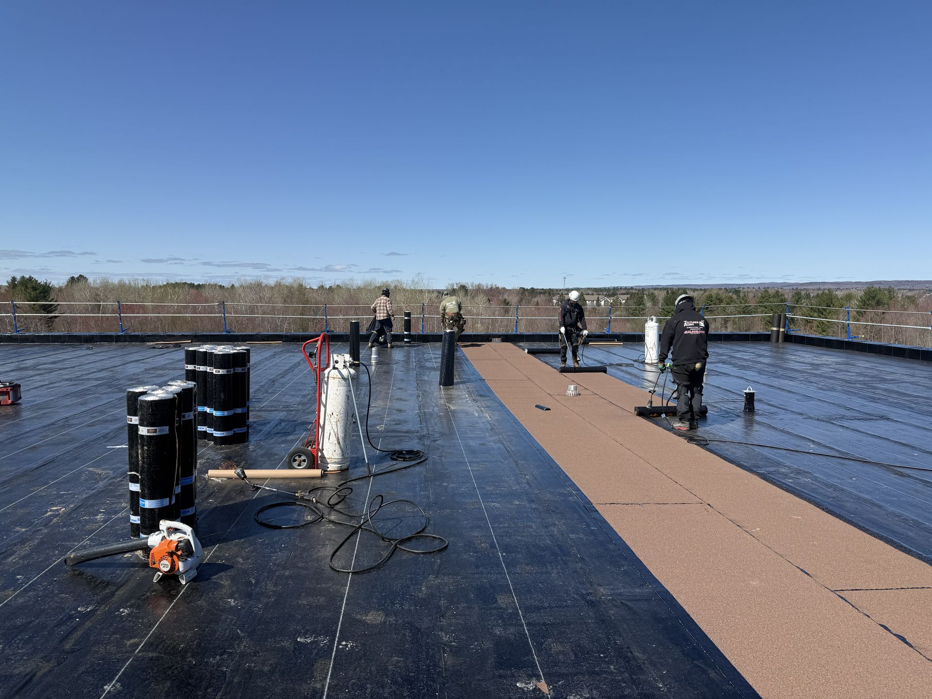 cropped_commercial fleu (3)