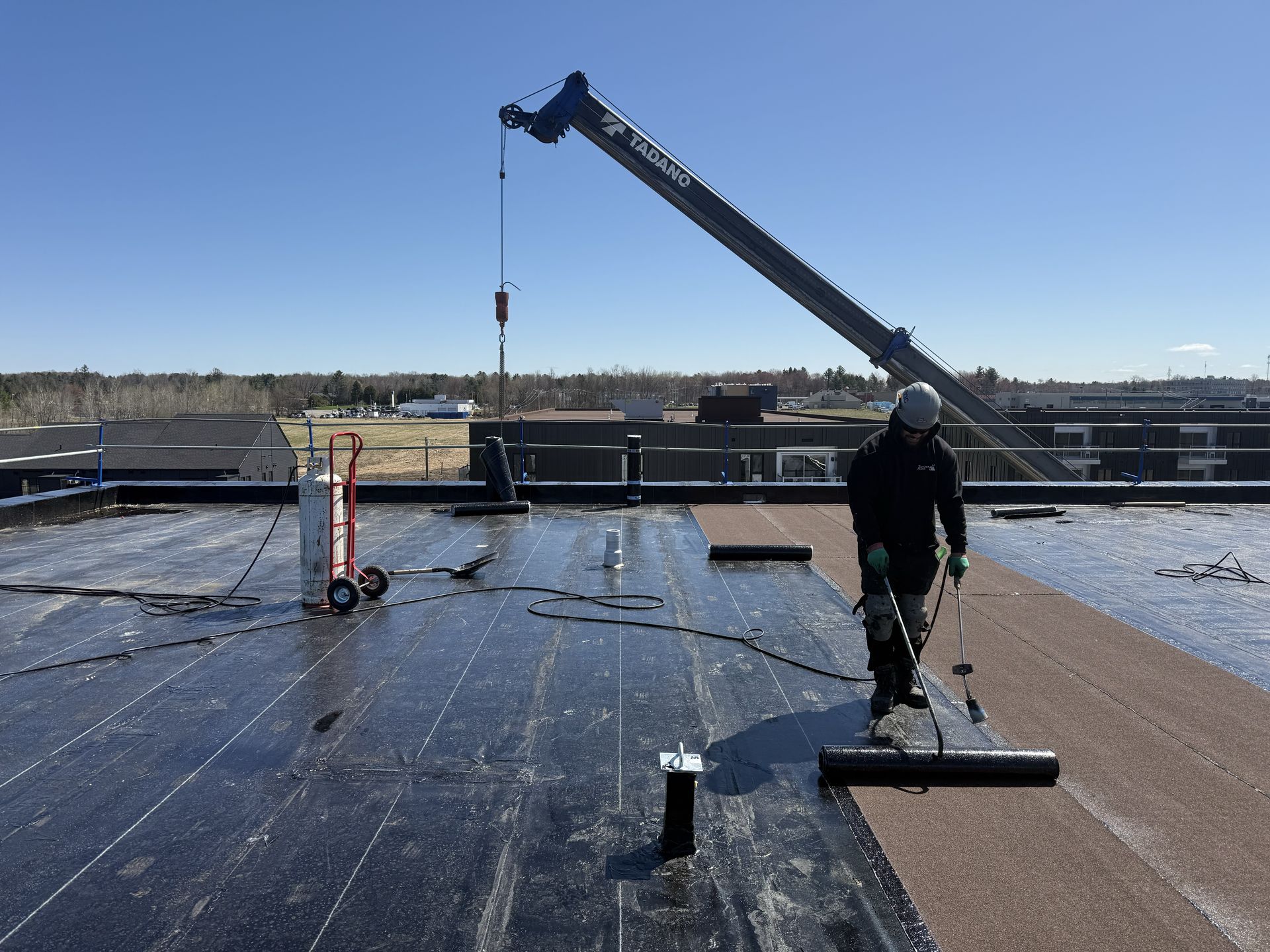 cropped_commercial fleu (4)