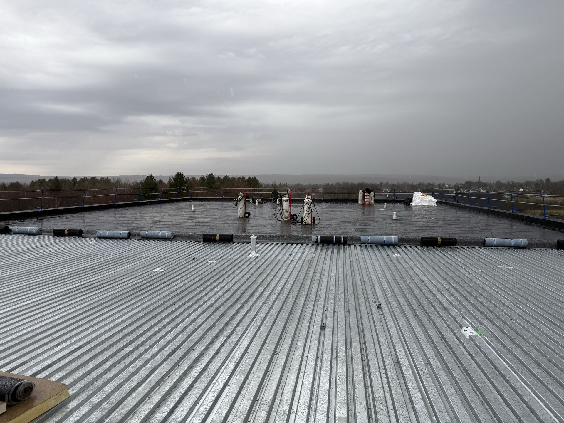 cropped_commercial fleu (5)