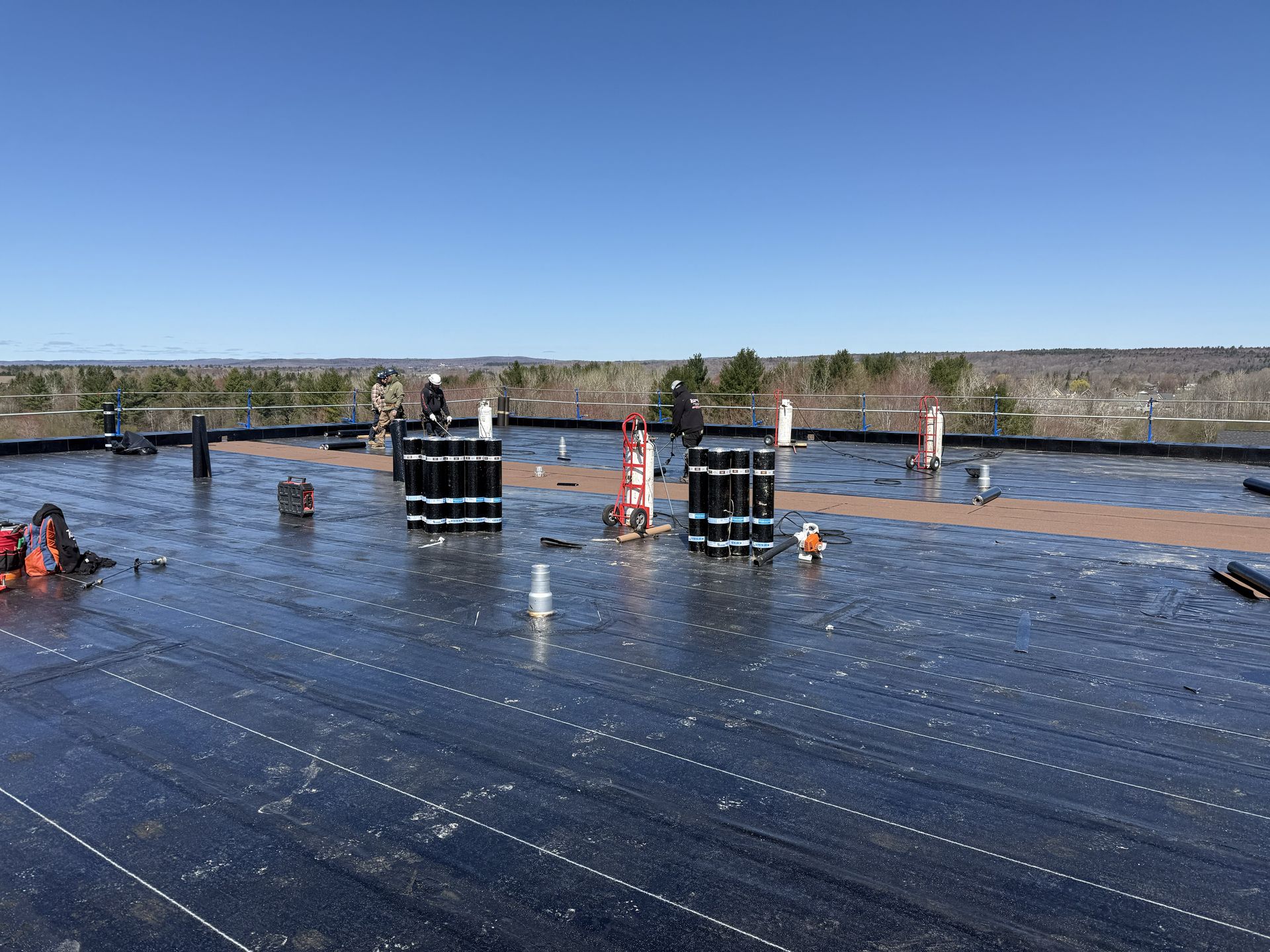 cropped_commercial fleu (6)