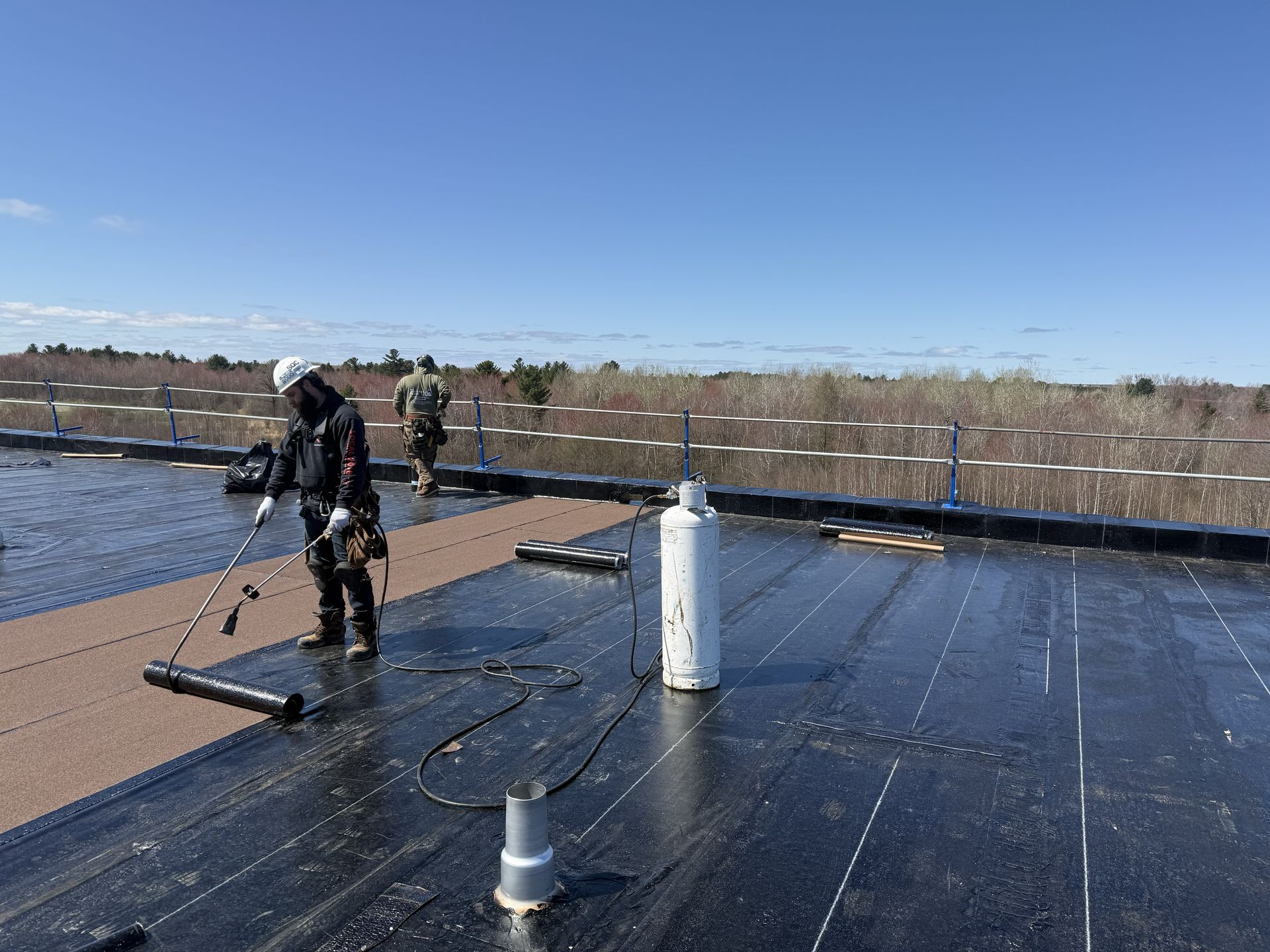 cropped_commercial fleu (7)